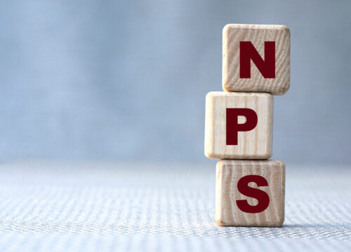 NPS Blocks
